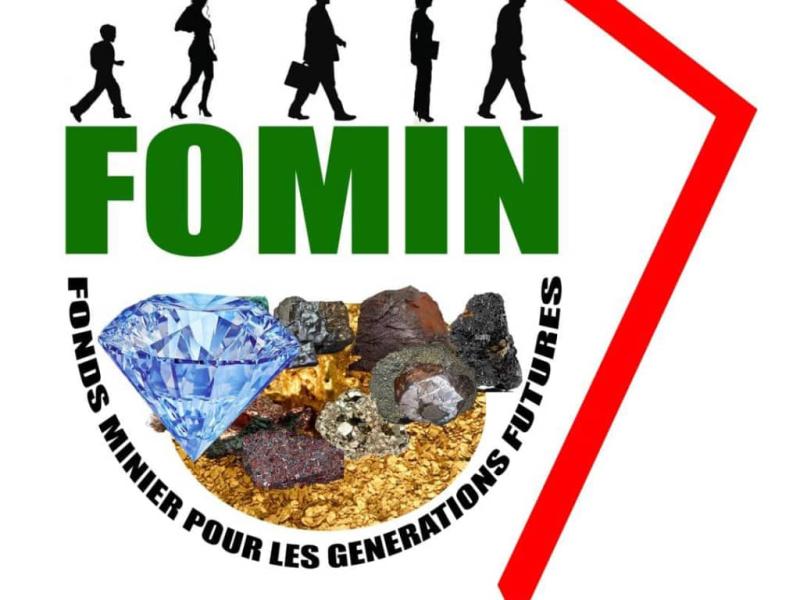 Fonds minier pour les générations futures, Assistance technique au niveau de la gouvernance et du management dans l’élaboration des outils institutionnels.